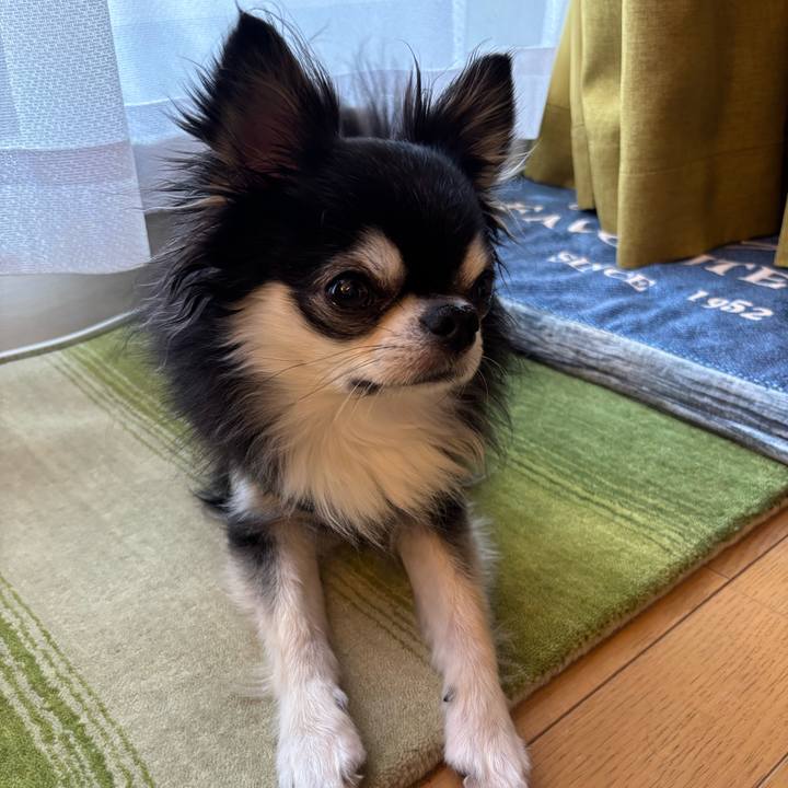 85f96441 8f14 4ee4 ad6b 15f7721974c0 1749398481611