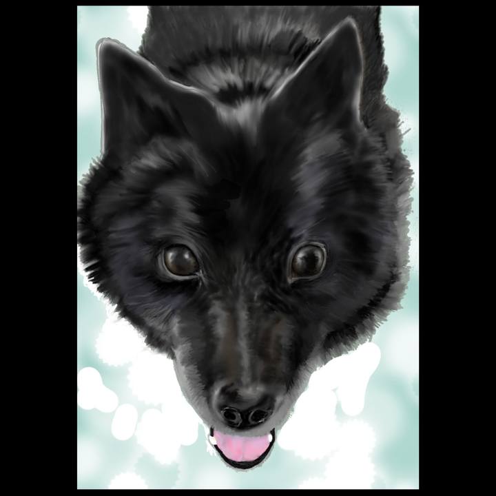 85f96fbd 42a4 4729 b397 5052610c0ae0 1653951255843