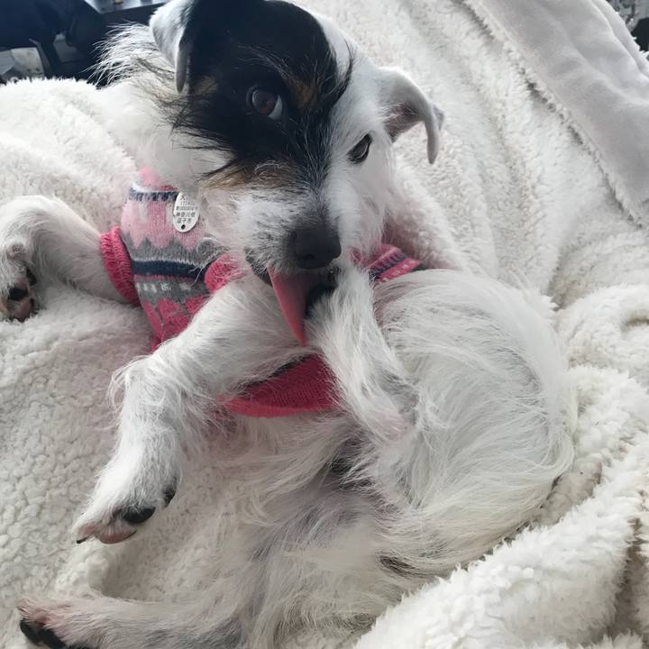 85f9ac6a 70e4 4c9c 86b0 c3c069713c09 1517967833085