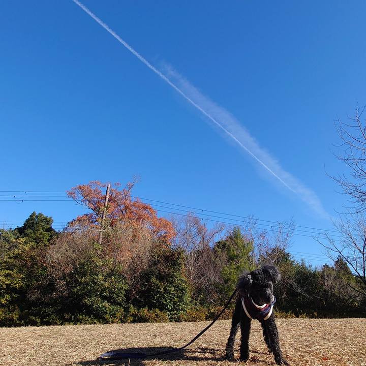 85f9f1cd 8ba7 4a6f bfe1 79039a03f17c 1766126206152