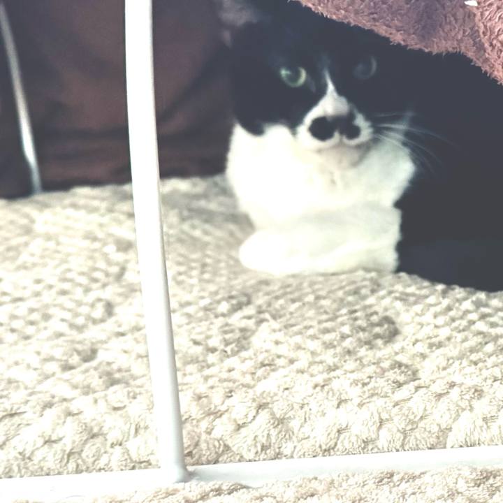 85fa36c9 71b6 40f4 a412 27a54f738985 1735261974124