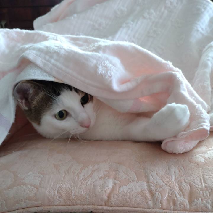 85fa39d0 6bcd 4ce3 9625 cef597b75ce2 1690240936687