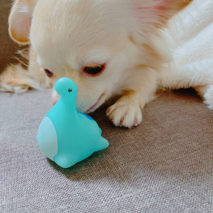 85fa91bf 2ac7 4a08 a59a 8e93e79884d2 1639525898478