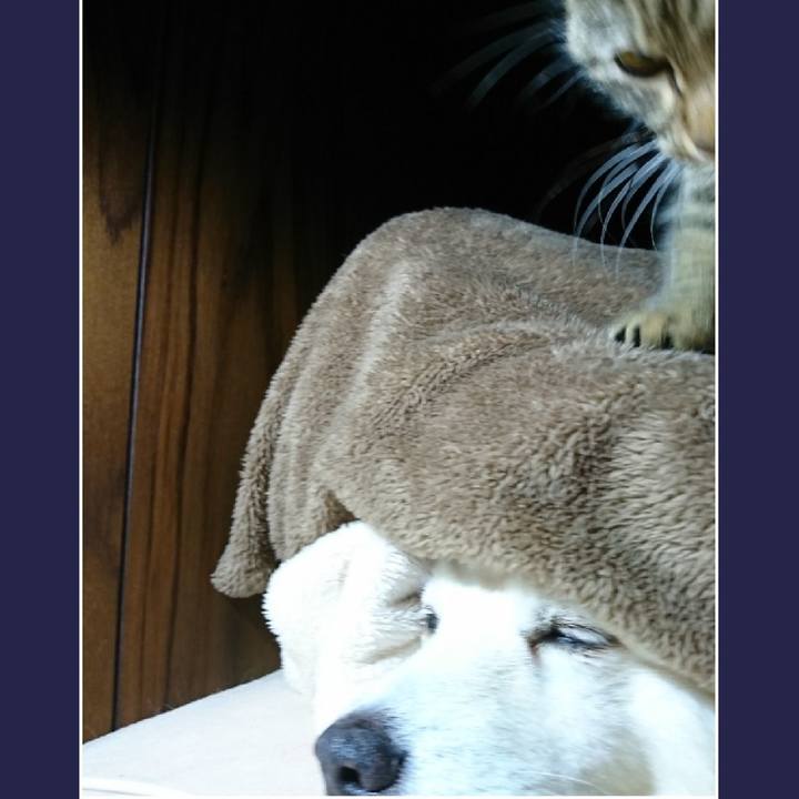 85fae284 3948 497a b9d6 b3346cc4e72d 1552314055286