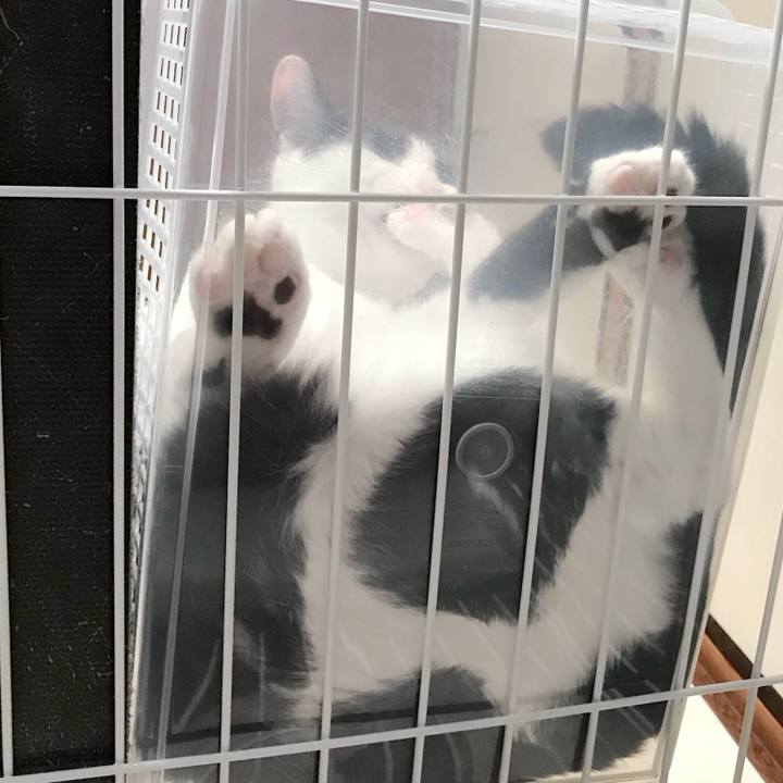 85fafa9c c3e3 435e a765 cd0965f0f129 1536072313591