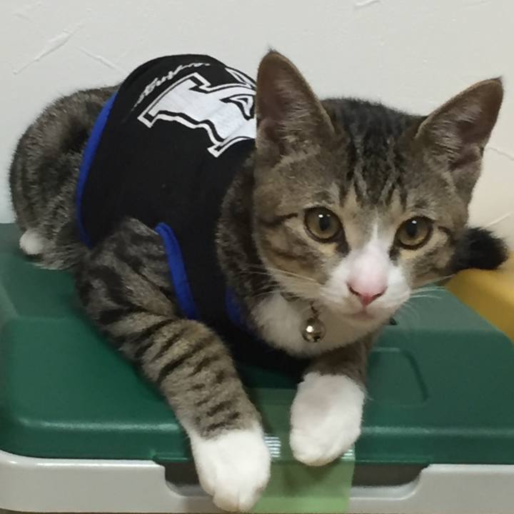 85fb004e da54 43be b3c7 eeac394f3d5e 1663558871934