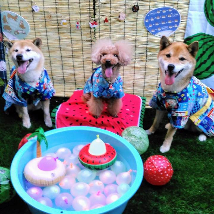 85fb1e66 2602 45df 803e 406f6bda704e 1596883165417