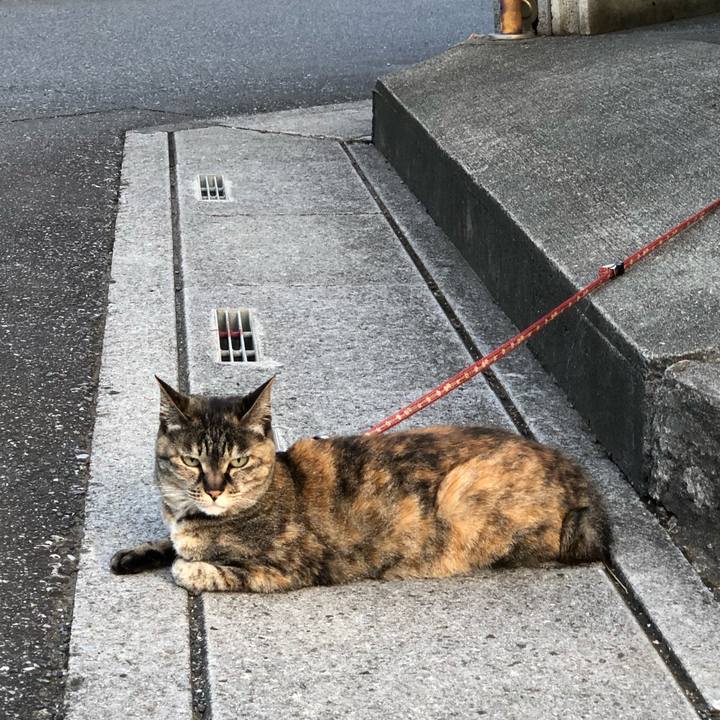 85fb546a ae2b 4aa9 8d3b d8b90f785c5e 1688948955673