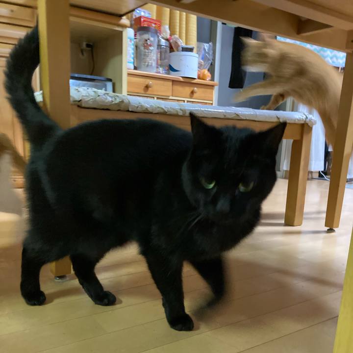 85fb6302 6496 4abd a1a3 edf6ba789a3e 1772262371943