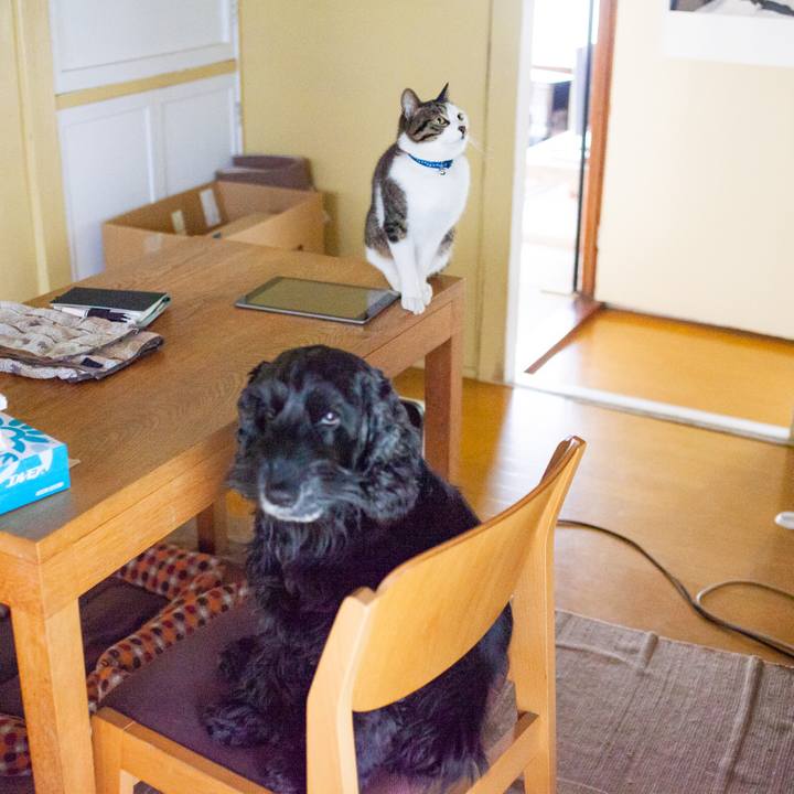 85fb70f1 b438 4394 8cbc 5118664a1366 1551537875676