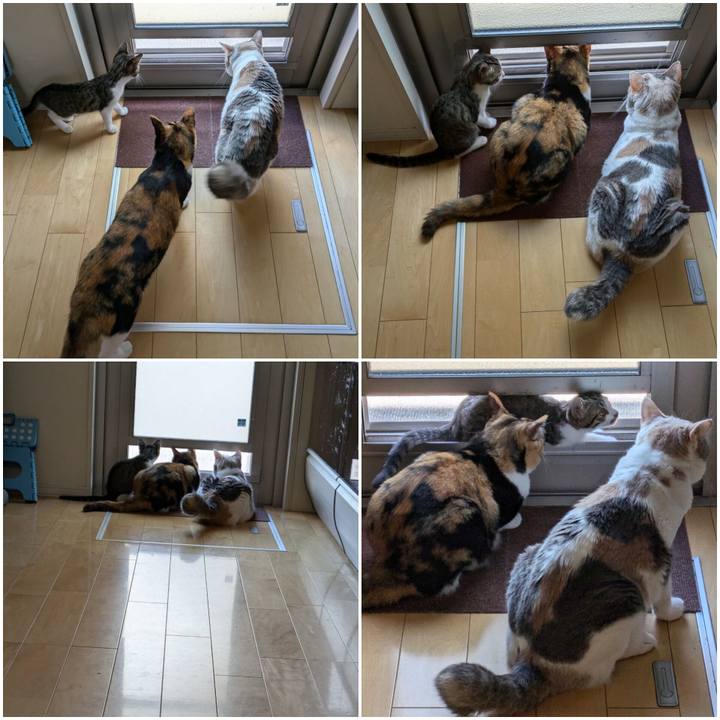 85fb7afb afda 4bf8 bf92 72d58d35dbfa 1721824454403