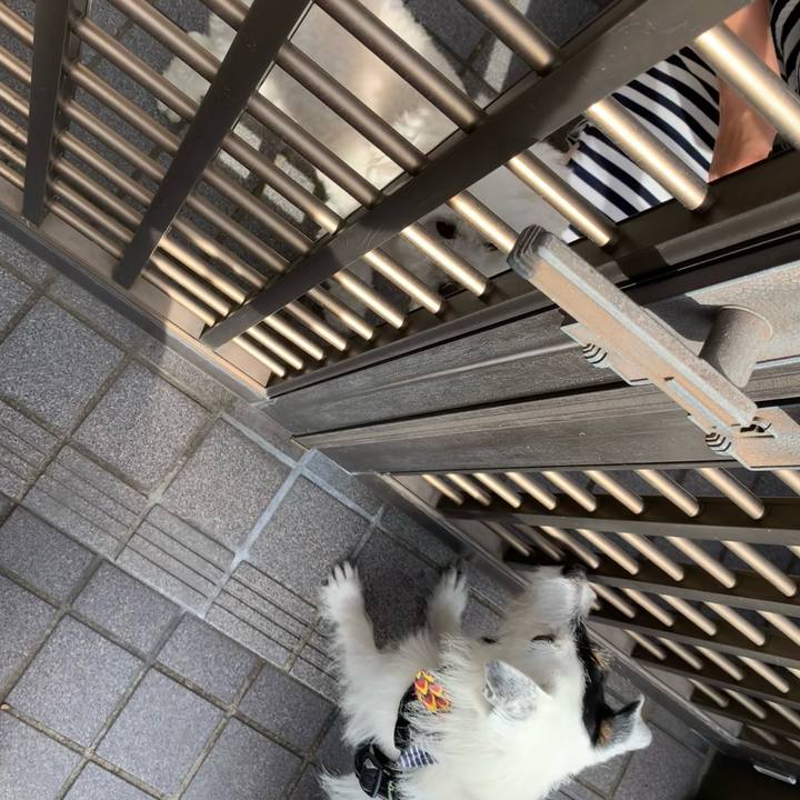 85fb8326 cf18 412c 8e51 8e8264c9c370 1722207183320