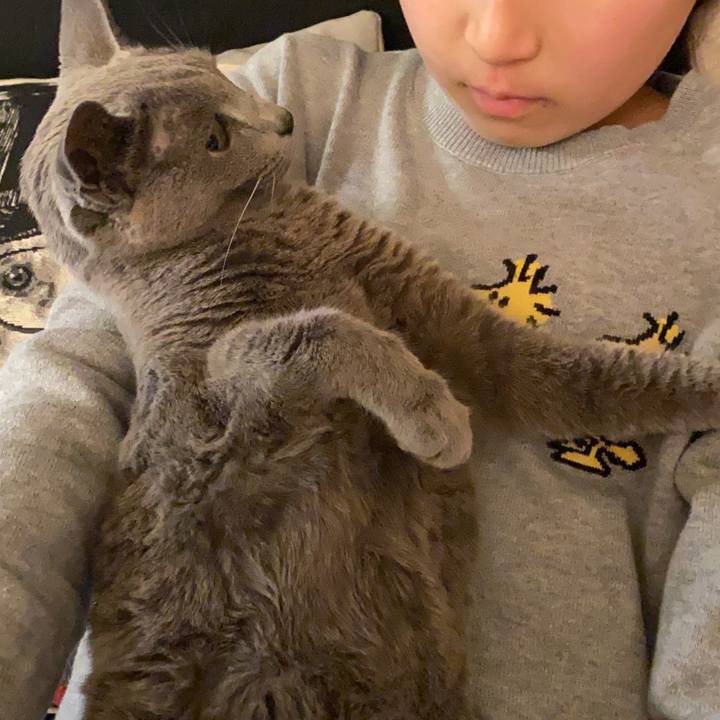 85fc2ae7 9967 482b 9a56 34e7a2bcd6cd 1578611339618