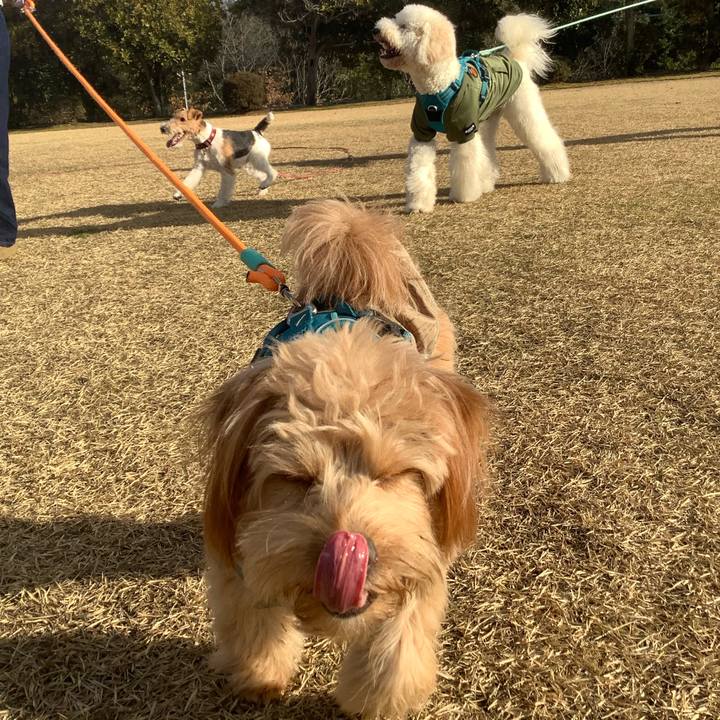 85fc3bbd 8347 47c2 8a49 ecfb1707cbff 1768104762532