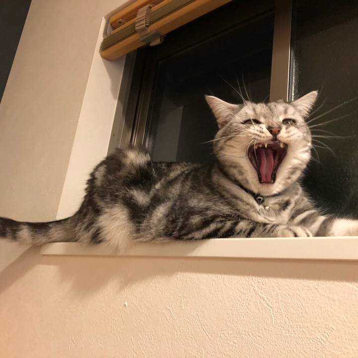 85fcba62 4a22 496f 8cd8 a156182d1de6 1541468795390