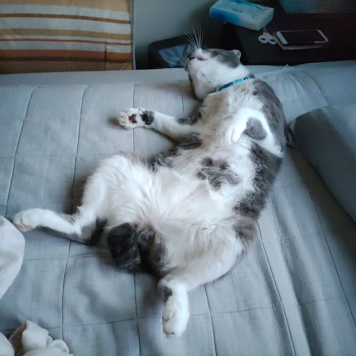 85fce300 3282 410f b2c9 7ec84ad705b1 1662981188420