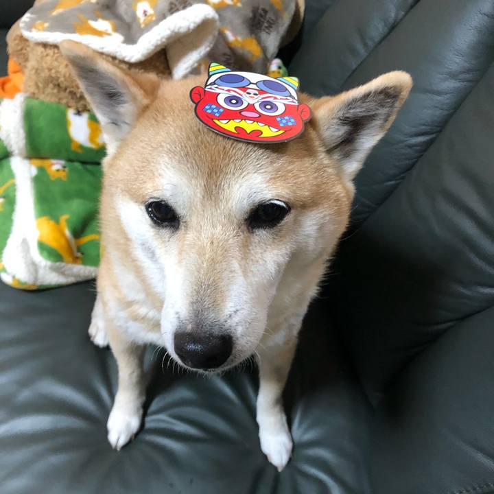 85fd0818 132a 43af 94d9 18d712d05fb0 1580703625597