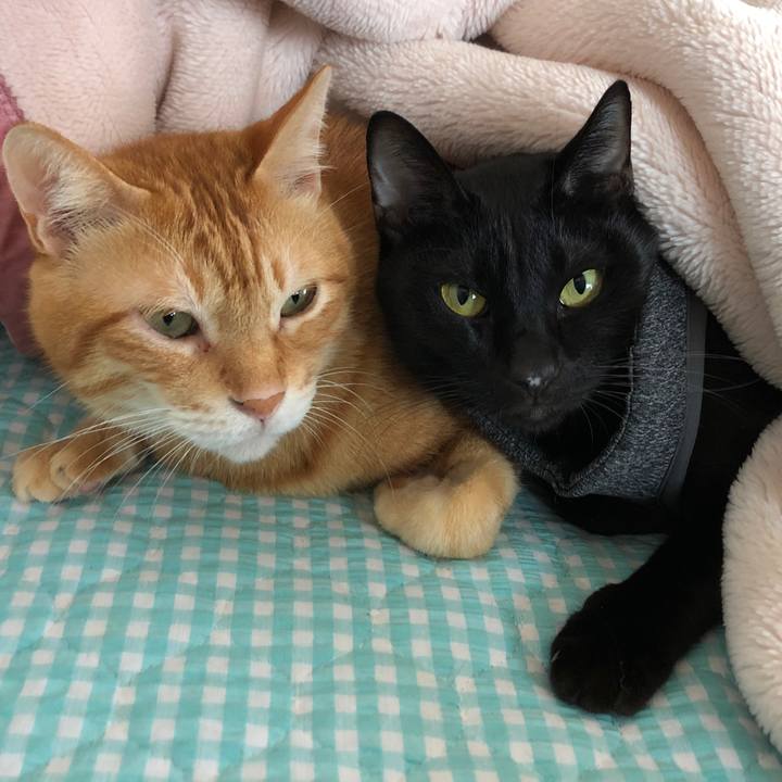 85fd3f44 fa9e 4626 a012 42dd2a16a40d 1662160942620