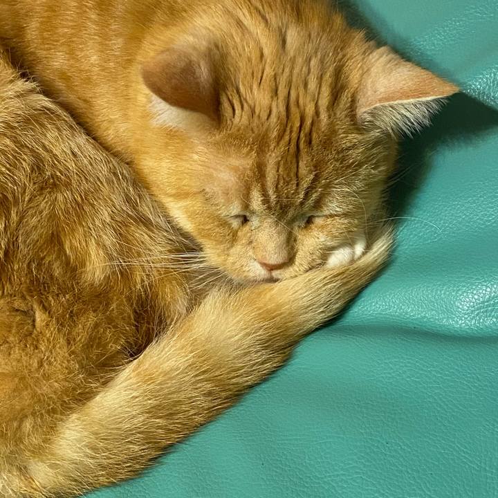 85fd43b0 8cb8 407a a591 230c2b190445 1615886591903