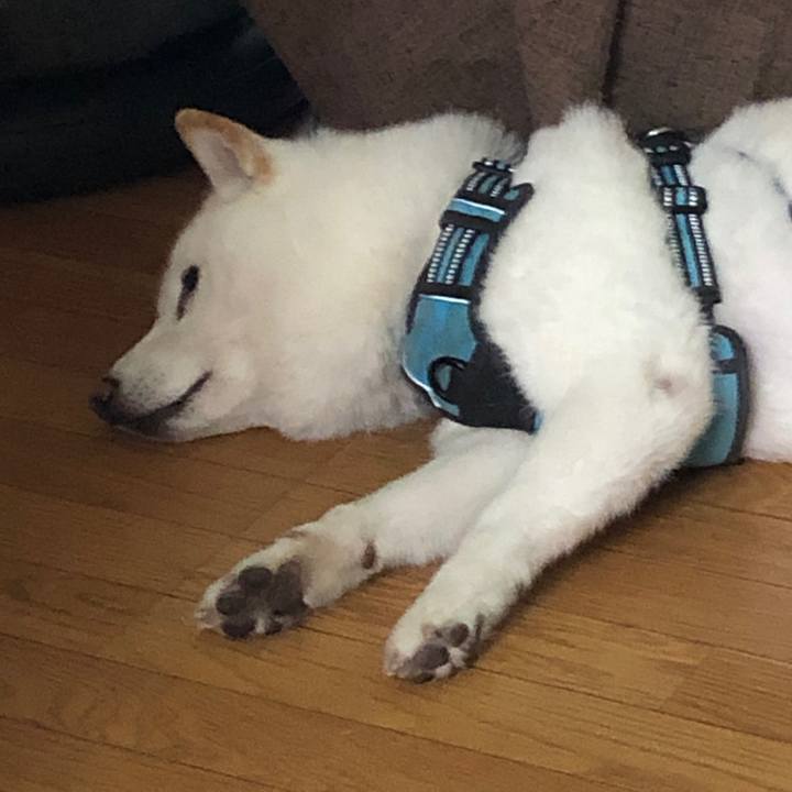 85fd5fa8 d8d1 49b9 9b6c 6315ef4867d4 1720733521067