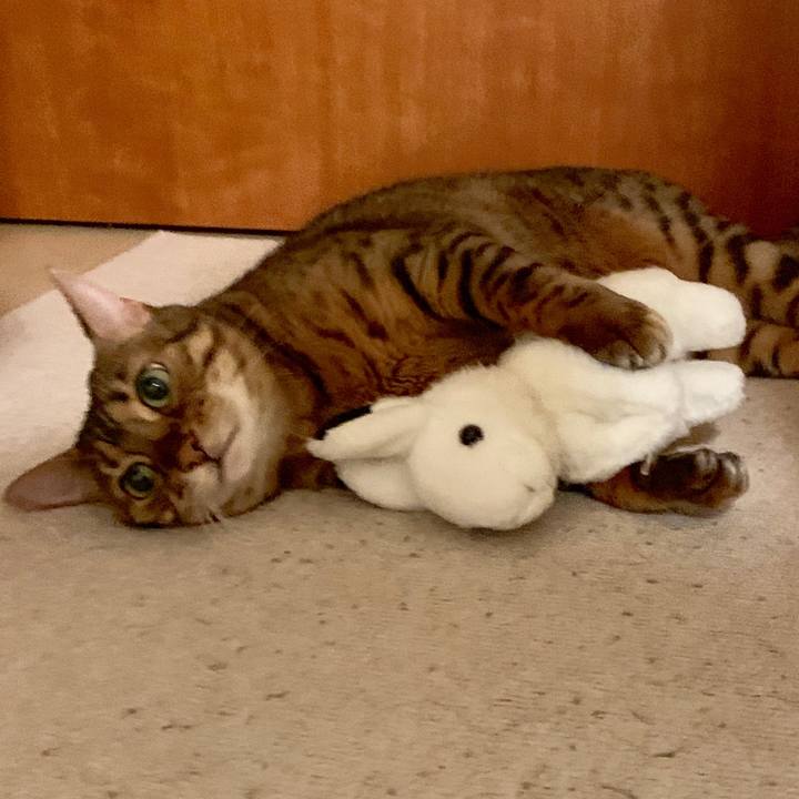 85fd6142 50cc 4089 9d09 c13e991f62e6 1566447590089