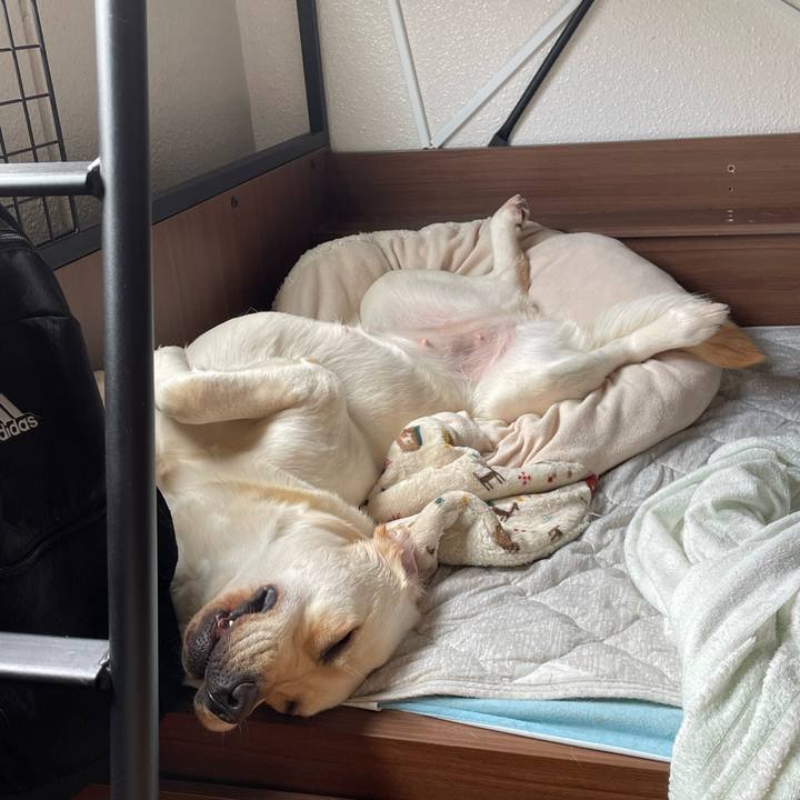 85fd874c 853e 4e1c 847b 5843cd639432 1654489108061