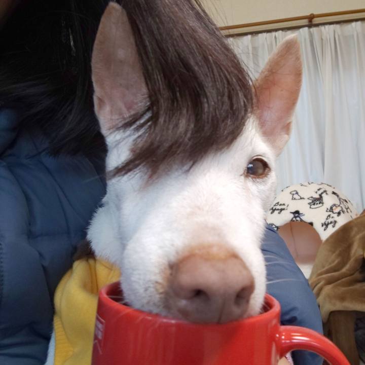 85fda596 b1dd 4ebe 8200 bbf01e5b2eb3 1575421148789