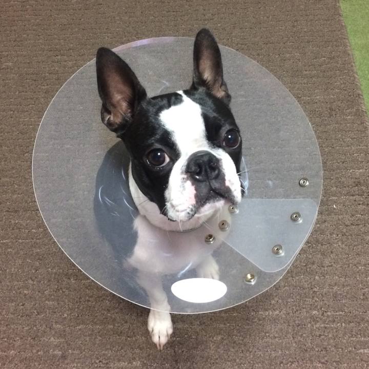 85fdc490 7f05 4871 a014 62411c1ece91 1512128905976