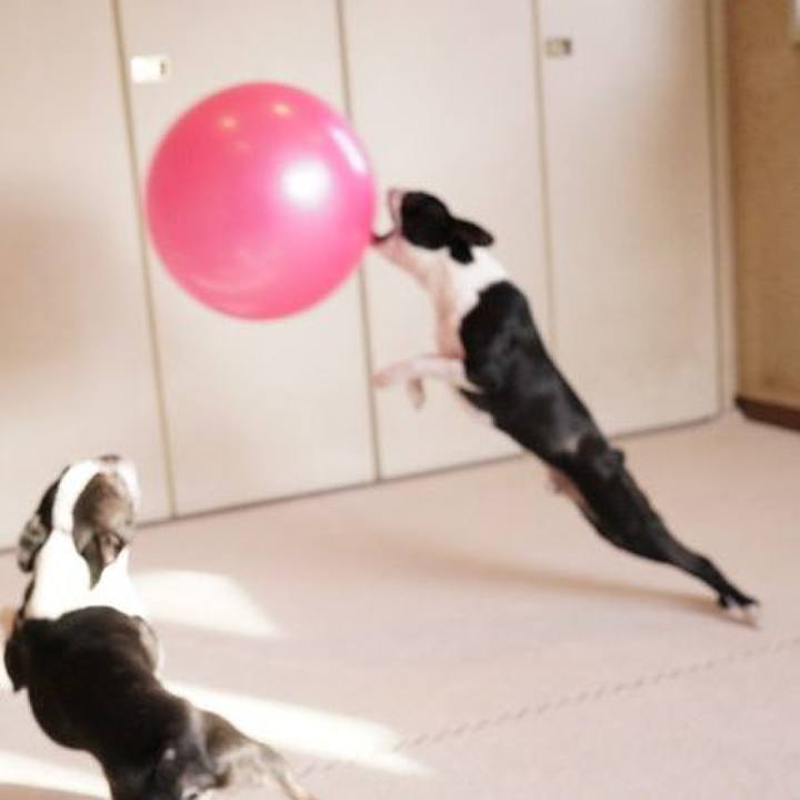 85fdce45 851e 42e6 bf81 17983a72d65b 1549944514064