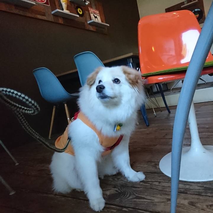 85fde7aa c4f6 4159 b771 549300745fc5 1525422985008