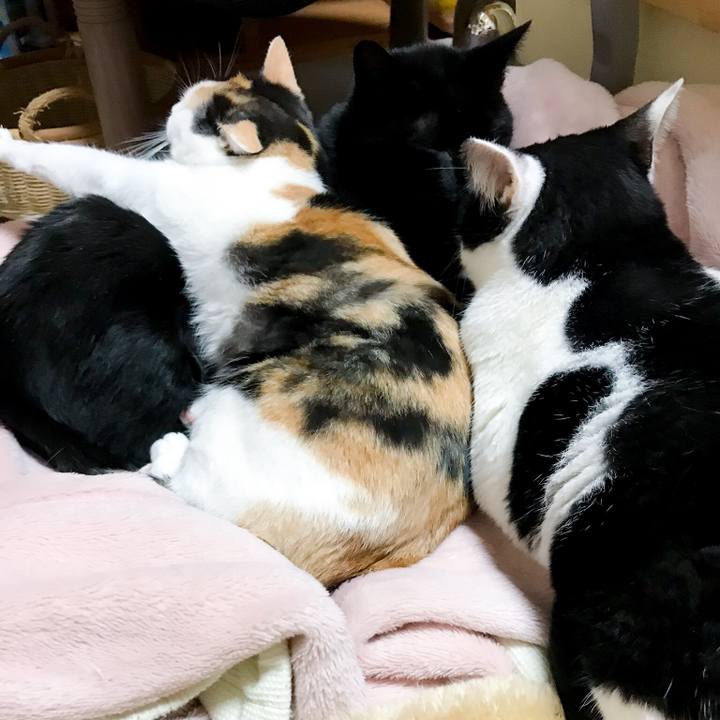 85fe3c82 e7a8 45ca 8596 4780372dece4 1513041357494