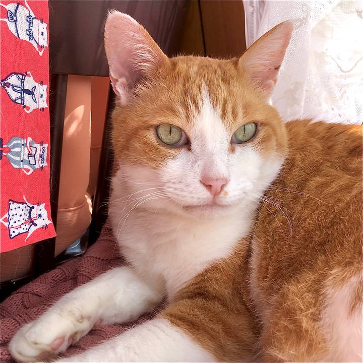 85fe3e0e 3816 49ef b2b1 84523c364360 1583737882272