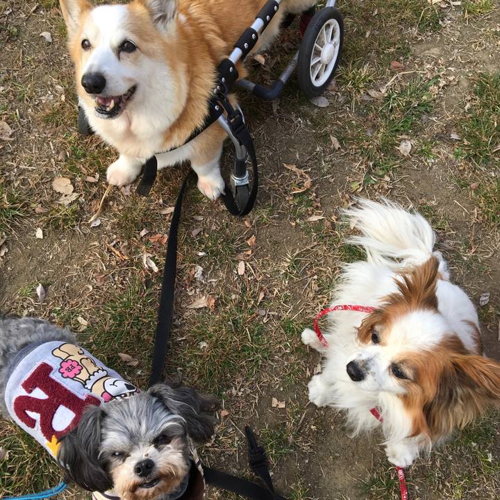 85fe45d6 6272 4ec3 9af7 02d76f20e5a4 1551190603271