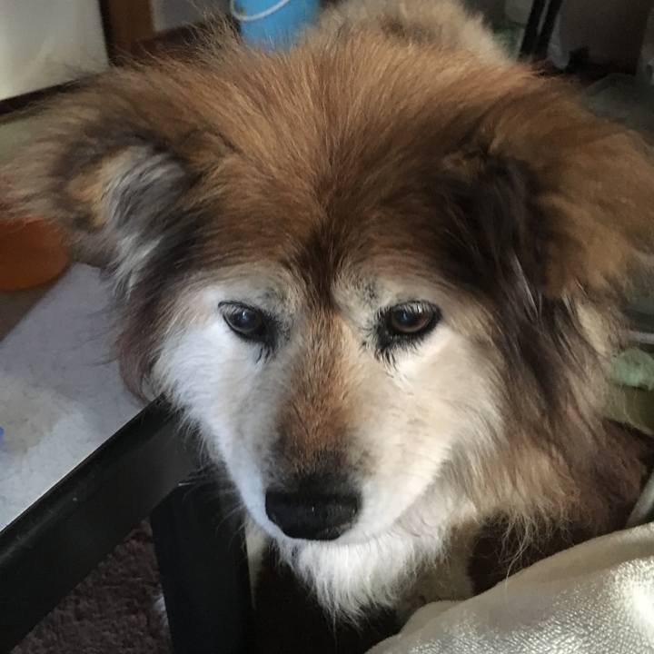 85fe4de8 3638 4a05 808b 3fbba43dae14 1591189122748