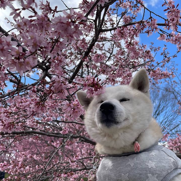 85fe6abb cb9e 467b 9fe2 daea0e3ec1da 1709467931868