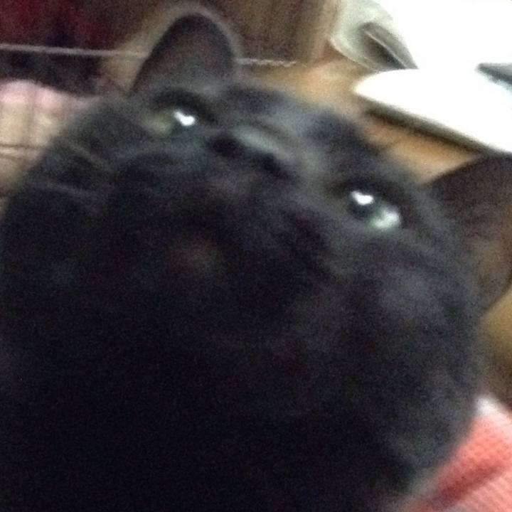 85fe6e26 fcf0 493c b183 937e7c82f2ea 1522136118872