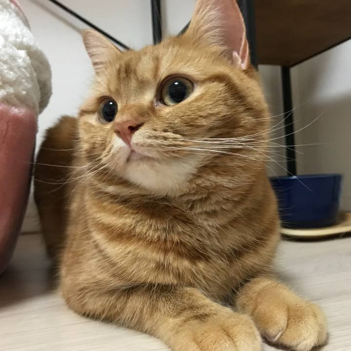 85feb9fb 245b 4e21 ab41 572c8a98ee48 1518043035644