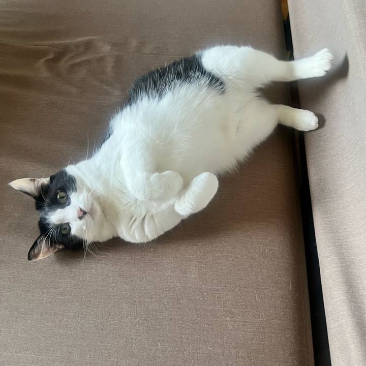 85ff2647 c43f 4d28 bd8c 4fd8136f09e1 1686963703411