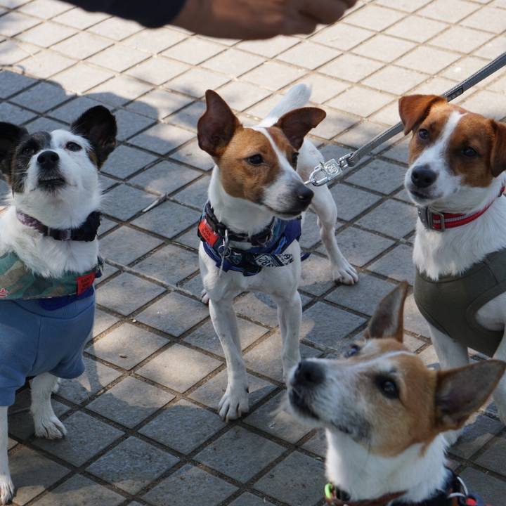 85ff3a1c 2e8e 49f4 959e 2427534282d7 1525556011000