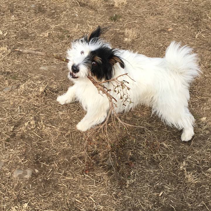 85ff42bb 4e18 4e93 a67d 375500c74961 1520375352347