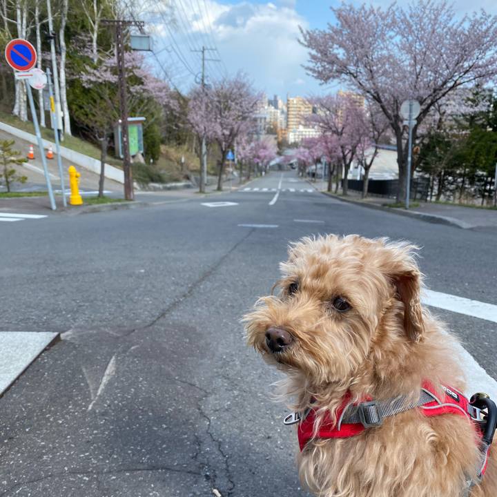 85ff6917 1233 4c44 8143 63eb4667d6aa 1682211565132