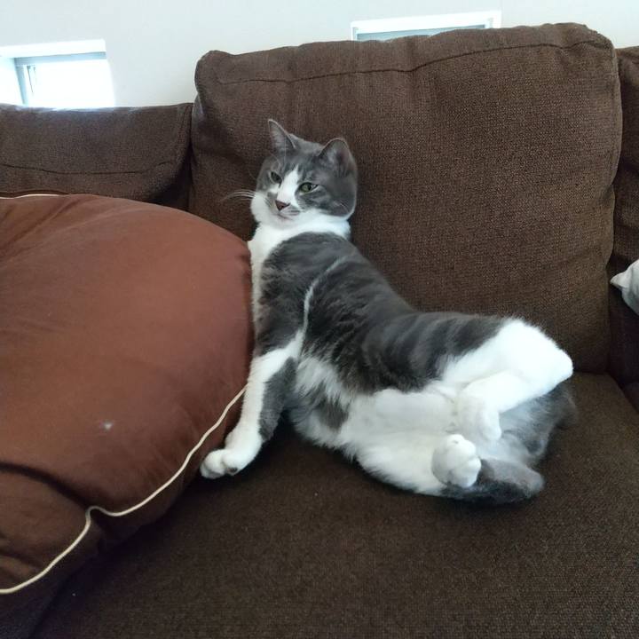 85ff8789 792f 43c2 ab5f 6a0274936160 1613531477109