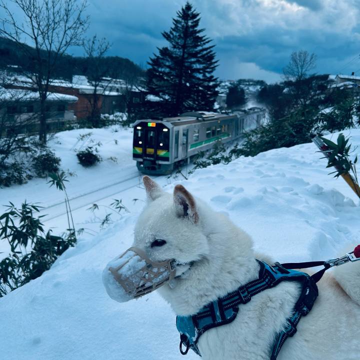 85ff8a4b 1e72 4401 bcba 14751e01d5e9 1735856503183