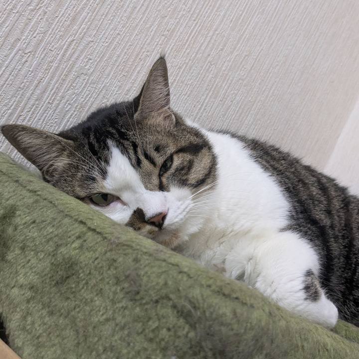 85ff8ecb f480 4de5 9a1b 1fb9c13a6a94 1755768618135