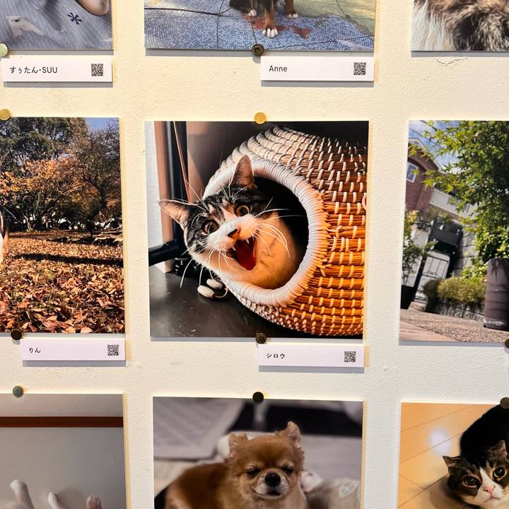 85ff9bcd c800 417b 8d46 486dc08e9dad 1765607512220