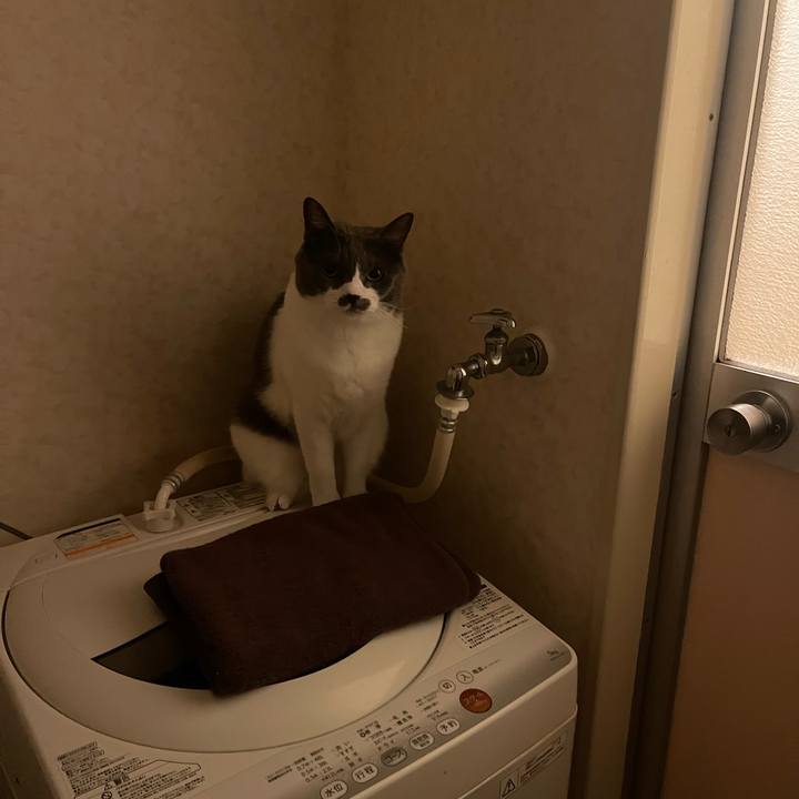 85ffdd62 79a1 414b a8bb 0f2ac06c3255 1753188946566