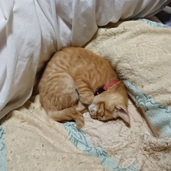 85ffe754 a9b4 4646 9f1c a9bb8bae6c5d 1632746142497