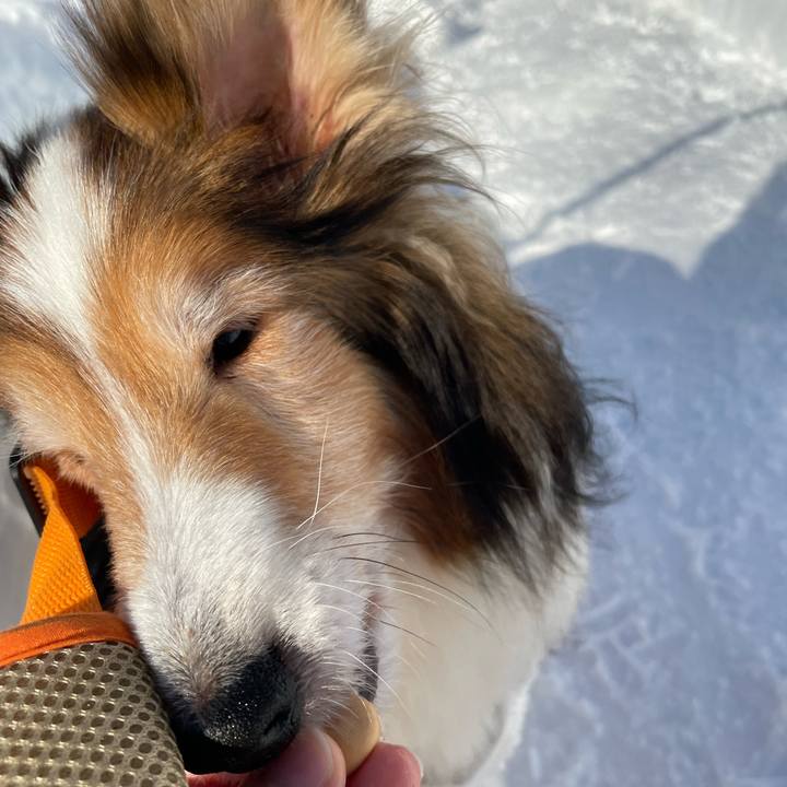 85ffeb26 fcee 4736 ad3b dc235a132a85 1673011015715