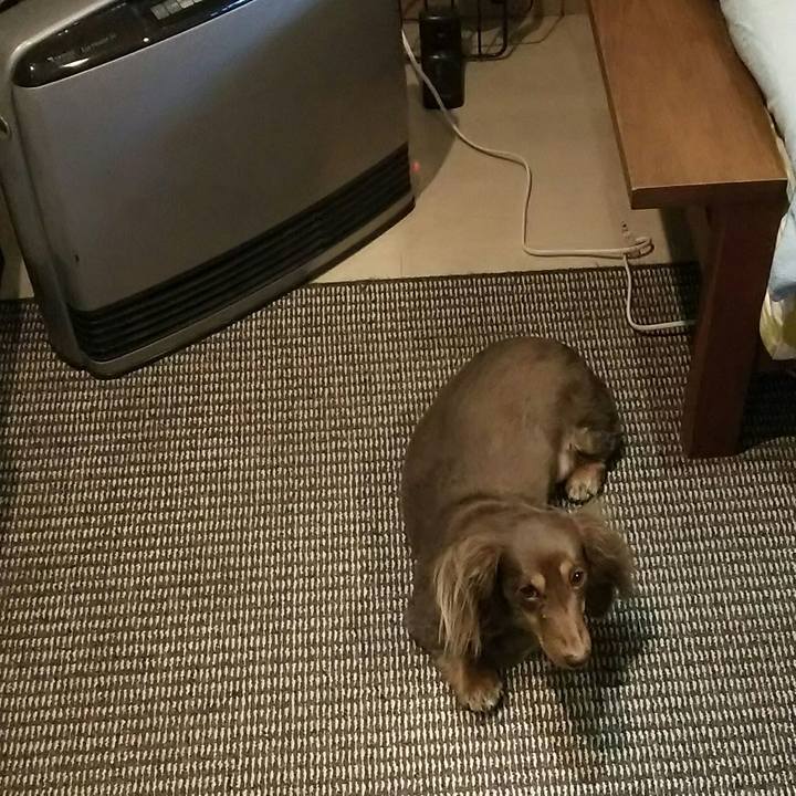 85fff1fe 17d3 4d7d bc15 60624a597861 1544744496345