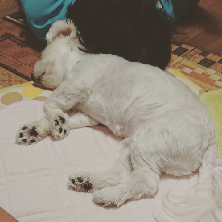 85fffb1a b9df 4b7a a4f8 20120594b357 1534748918354